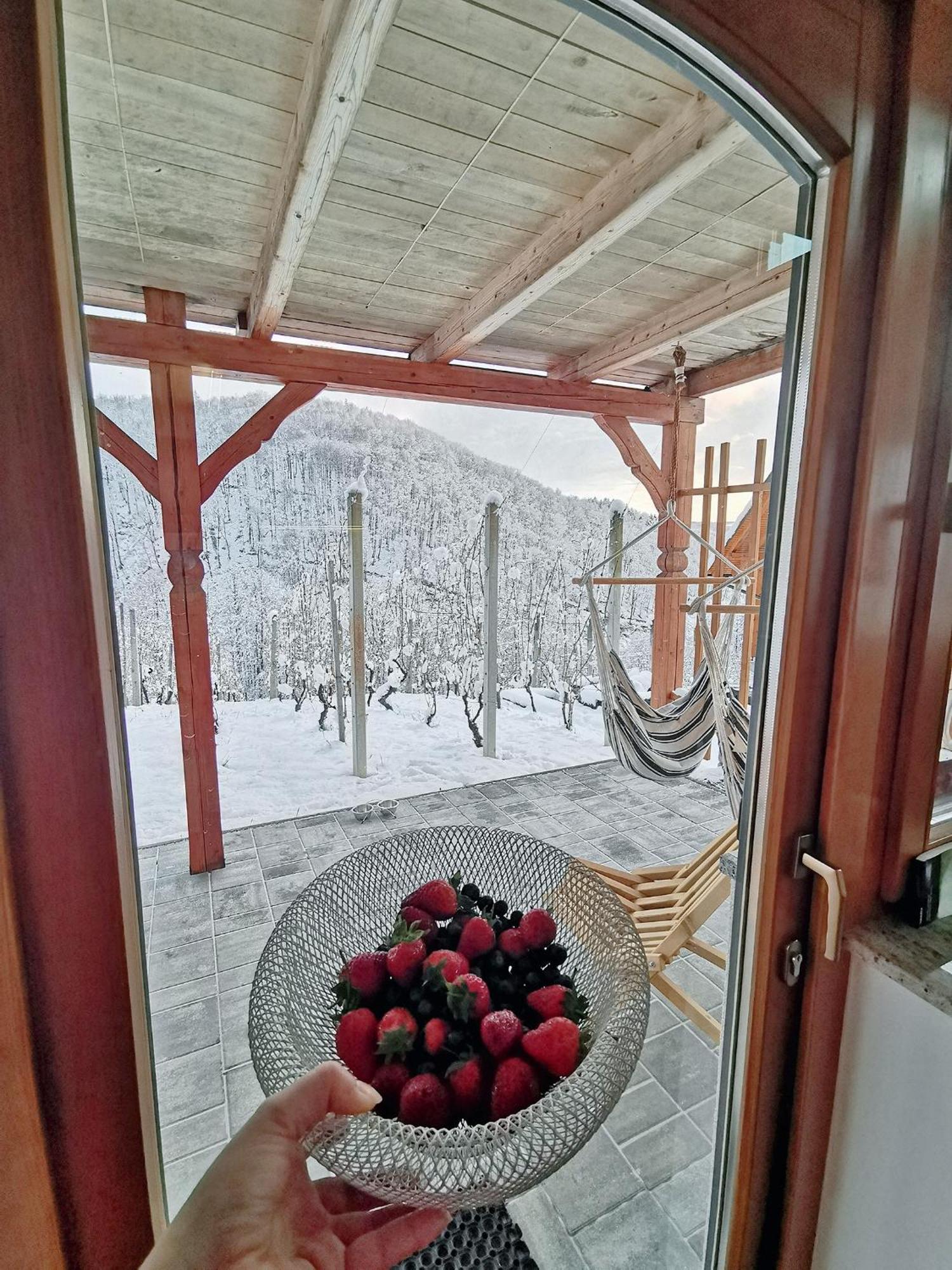 Vineyard Cottage Matej Trebnje Eksteriør billede